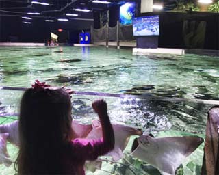 San antonio aquarium coupon code