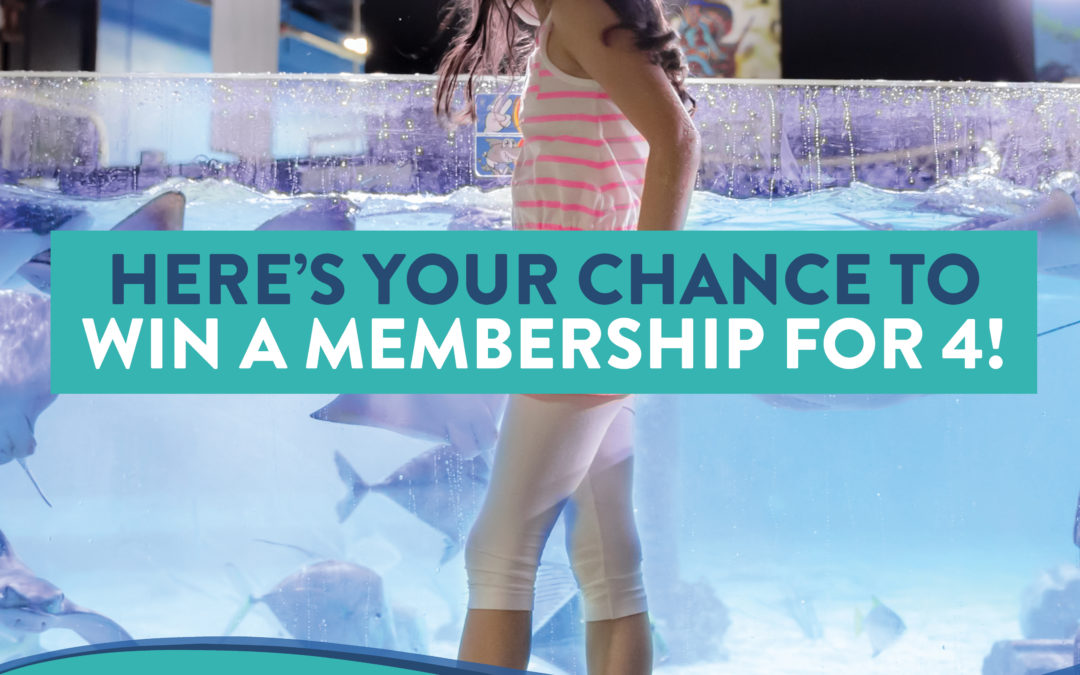 San Antonio Aquarium Is Giving Away A Free Membership Everyday Through Jan. 15